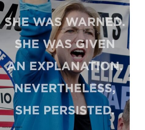 She Persisted